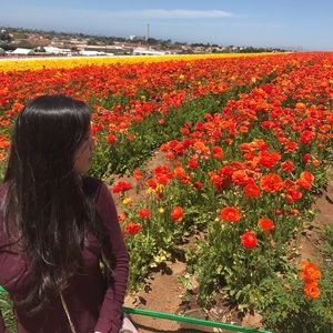 Meet your Posher, Krystal